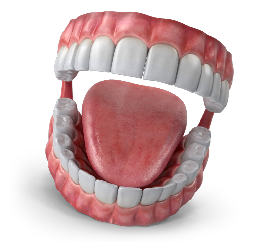 κοντινό πλάνο στόματος με οδοντοστοιχία